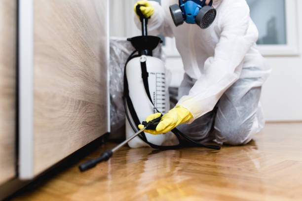 Best Ant Control Services  in Edgewood, WA