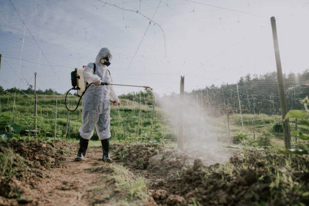 Best Pest Prevention Services  in Edgewood, WA
