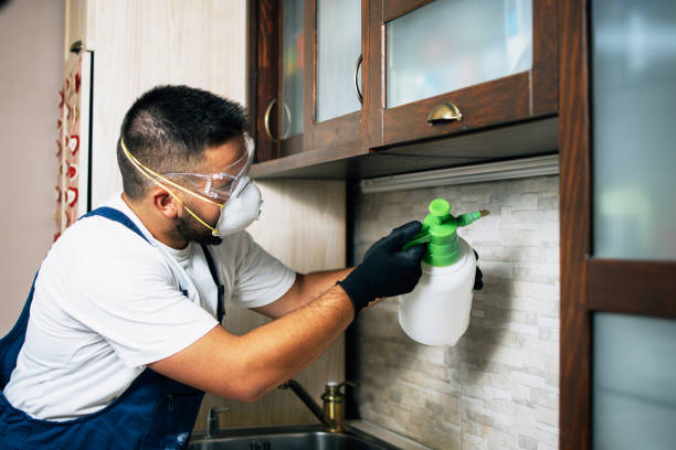 Best Local Pest Control Services  in Edgewood, WA