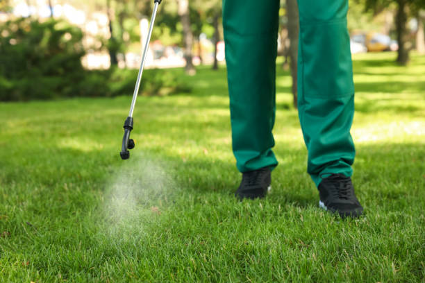 Best Wasp Removal Services  in Edgewood, WA