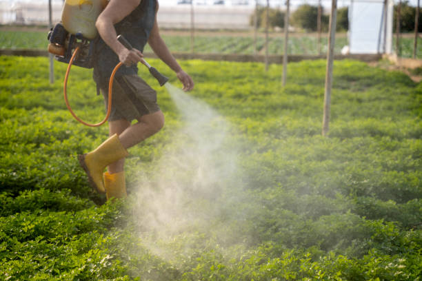 Edgewood, WA Pest Control Company