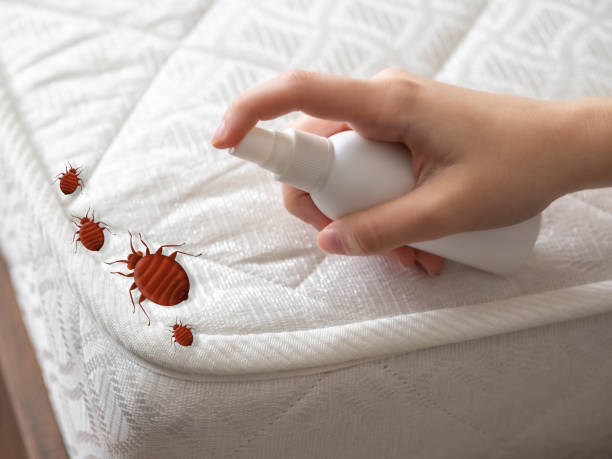 Best Best Pest Control Companies  in Edgewood, WA