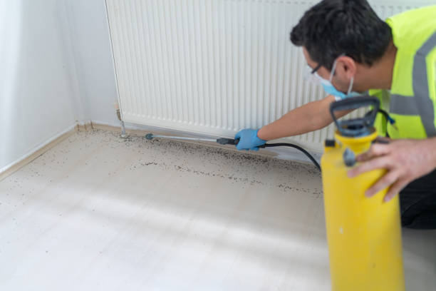Best Bed Bug Extermination  in Edgewood, WA