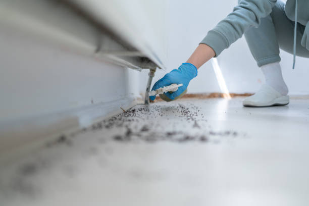 Best Commercial Pest Control Services  in Edgewood, WA